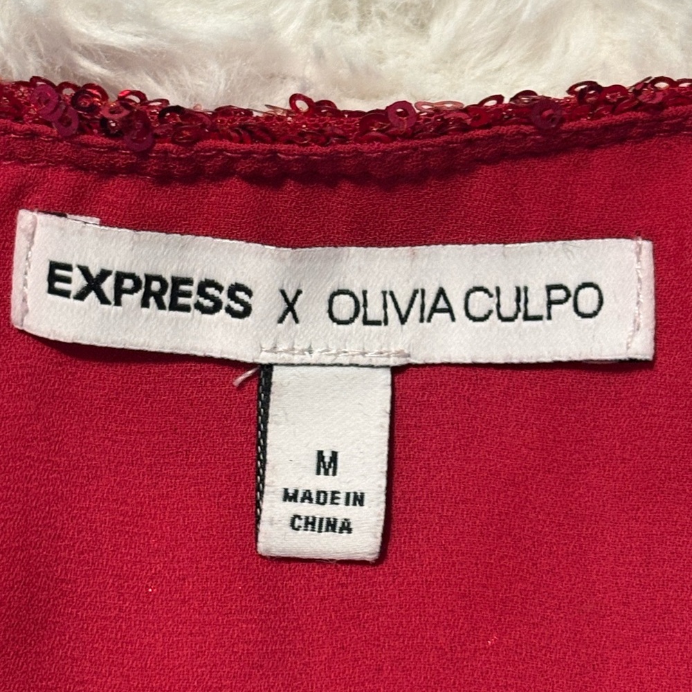 Express Fuchsia Sequin Mini Dress - Picture 6 of 6